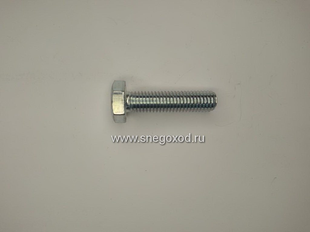 Болт катка к с/х Тайга, Буран М10 6g*30